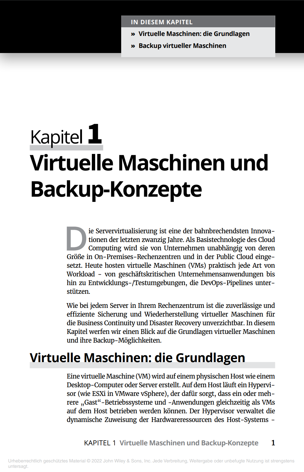 Pic.2 VMware Backup For Dummies